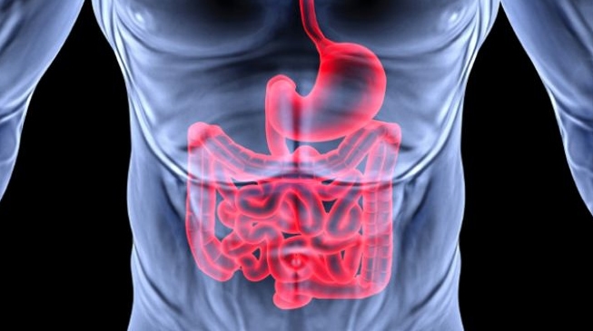 etkisiz gastrointestinal doku perfüzyonu
